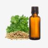Coriander Oleoresins