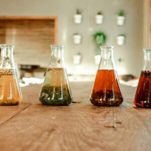 Natural Extracts & Phytochemicals