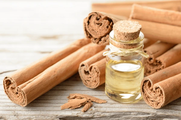 cinnamon-essential-oil